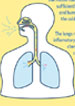 illustration of lungs and outline of body